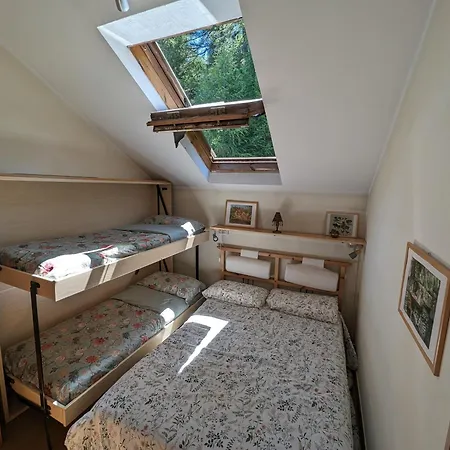 In The Woods 公寓 *