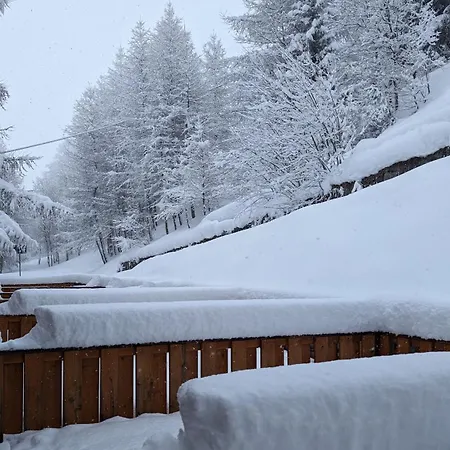 Appartamento In The Woods *