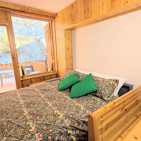 Apartment In The Woods