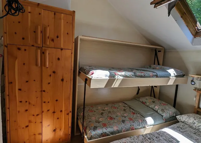 Apartment In The Woods *