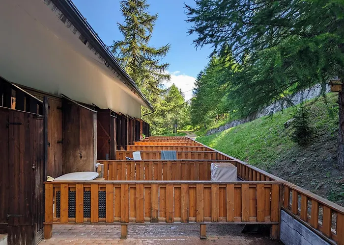 In The Woods * Pila (Valle d'Aosta)