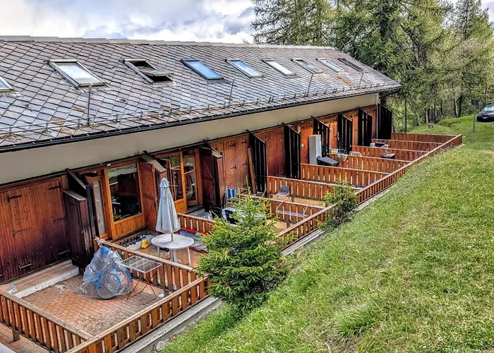 Apartment In The Woods